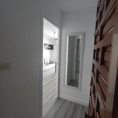 L'olivar El Port De La Selva